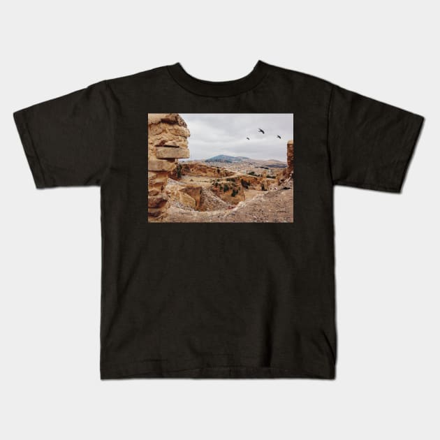 Three Birds Over Landfill in Morocco Kids T-Shirt by visualspectrum